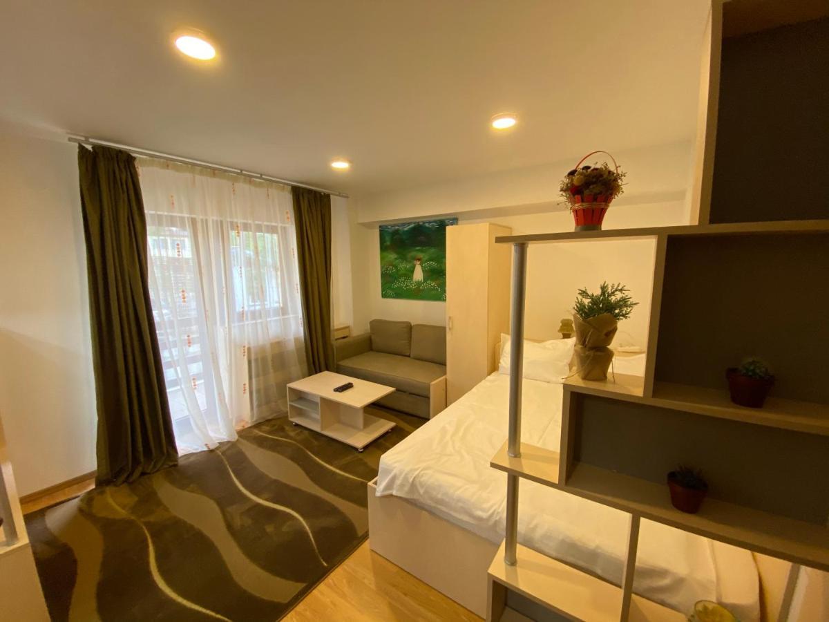Sinaia Chic Minisuite Mirage-Self Check-In&Free Parking Luaran gambar