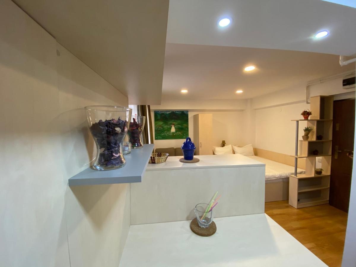 Sinaia Chic Minisuite Mirage-Self Check-In&Free Parking Luaran gambar