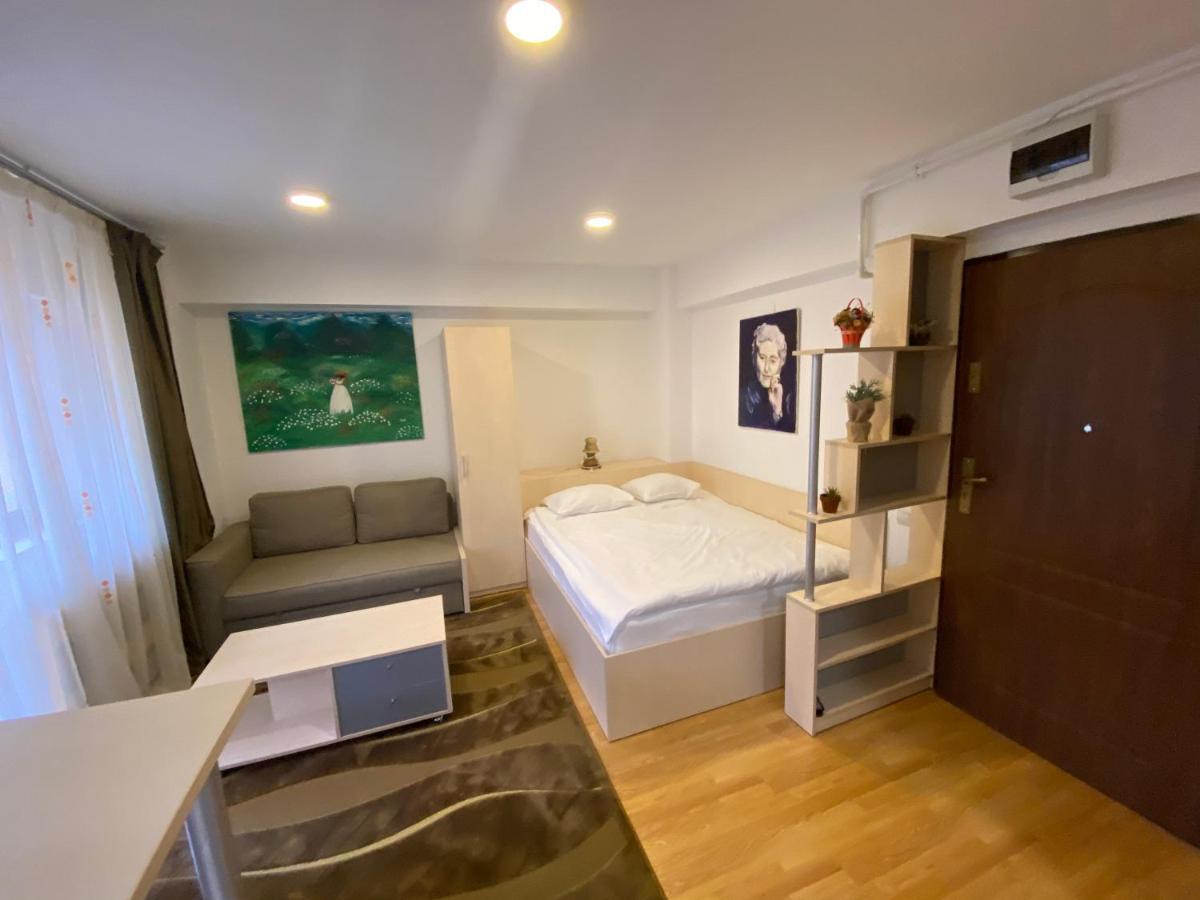 Sinaia Chic Minisuite Mirage-Self Check-In&Free Parking Luaran gambar